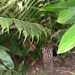 Meet your Posher, Rasell